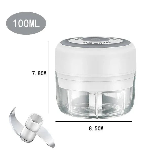 Mini Electric Garlic Chopper – 100/250mL USB Rechargeable Food Processor for Meat, Vegetables & Spices