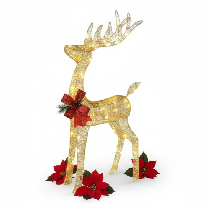 Ảnh sản phẩm nền trắng 2